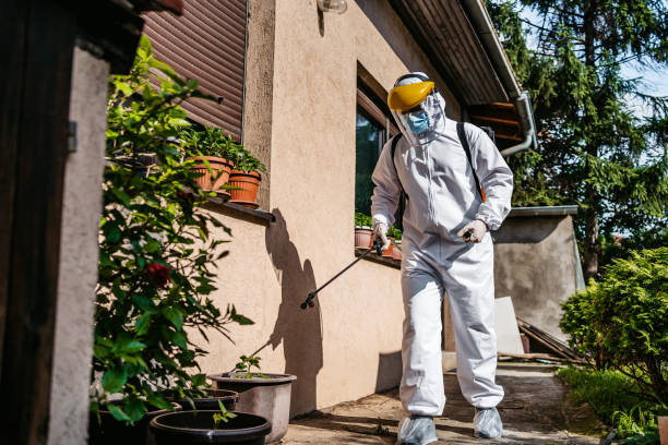 Best Affordable Pest Control Services  in Wylie, TX