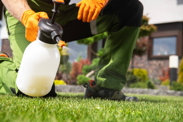Best Bed Bug Extermination  in Wylie, TX