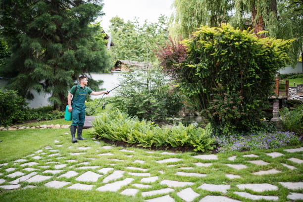 Best Pest Removal Services  in Wylie, TX