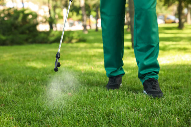 Best Exterminator Services  in Wylie, TX