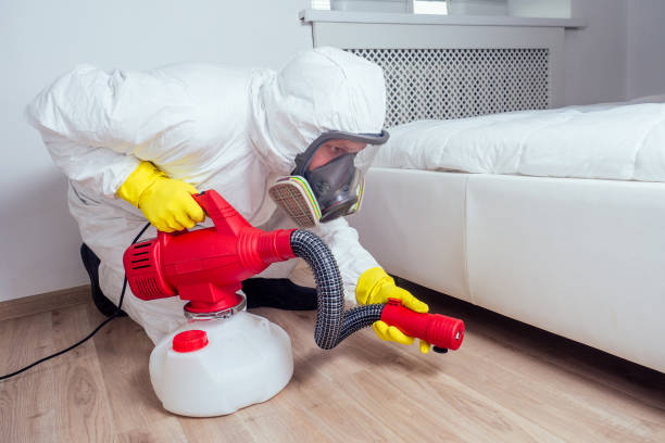 Best Affordable Pest Control Services  in Wylie, TX