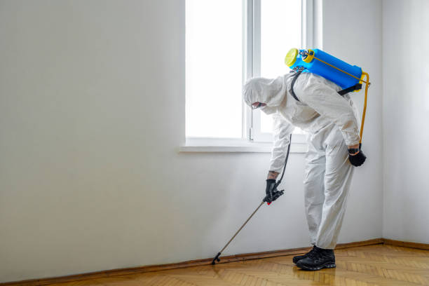 Professional Pest Control in Wylie, TX