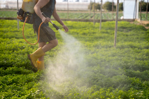 Best Mosquito Control Services  in Wylie, TX