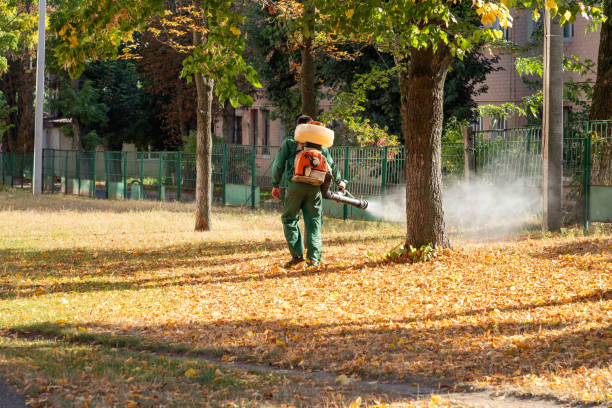 Best Flea Control Services  in Wylie, TX