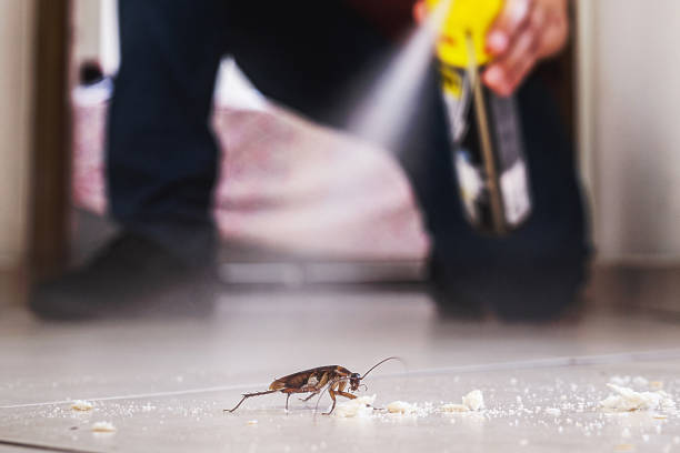Best Pest Prevention Services  in Wylie, TX