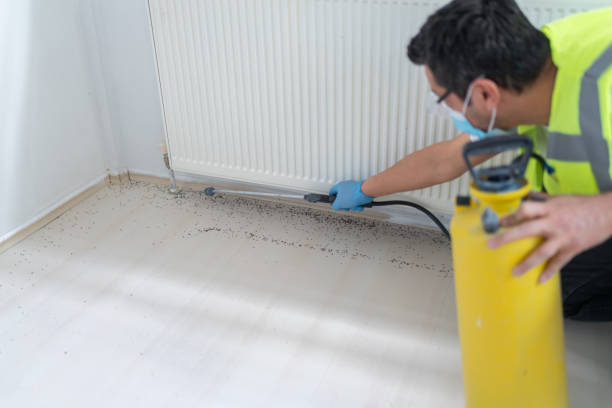 Best Pest Control Near Me  in Wylie, TX
